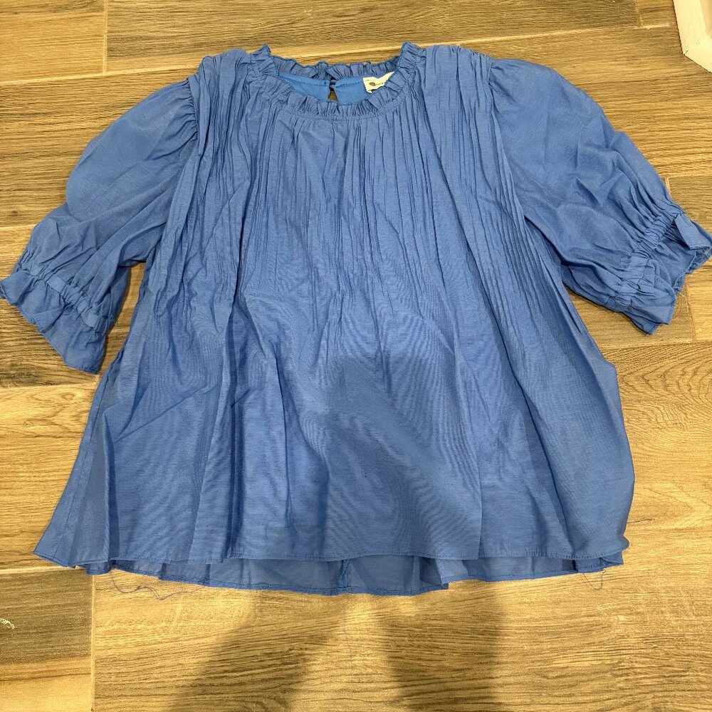 Impeccable Pig Pleated Puffed Sleeved Top